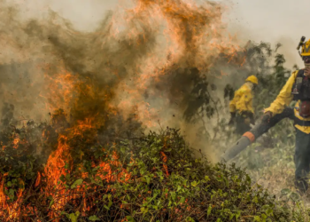 Fogo consumiu 1,3 milhão de hectares e volta a aumentar no Pantanal