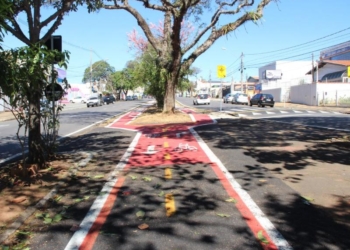 Ciclovia da Avenida José Bonifácio está aberta aos ciclistas