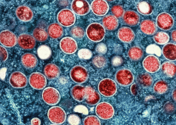 Mpox volta a ser emergência de saúde pública de preocupação internacional