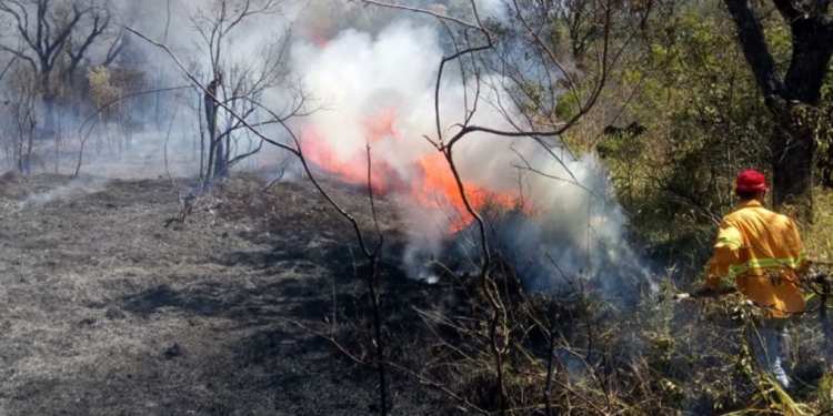 Região de Campinas está com risco elevado de incêndios florestais