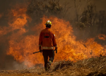 Defesa Civil diz que ação humana causou 99,9% dos incêndios em SP