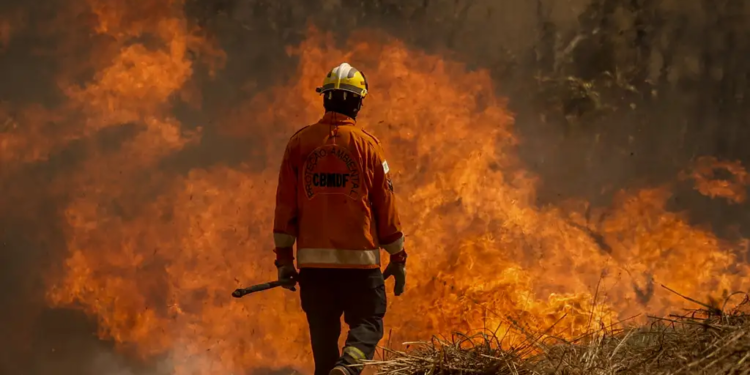 Defesa Civil diz que ação humana causou 99,9% dos incêndios em SP