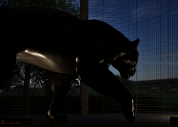 Jaguariúna inaugura obras de arte gigantes ao longo da Avenida Marginal