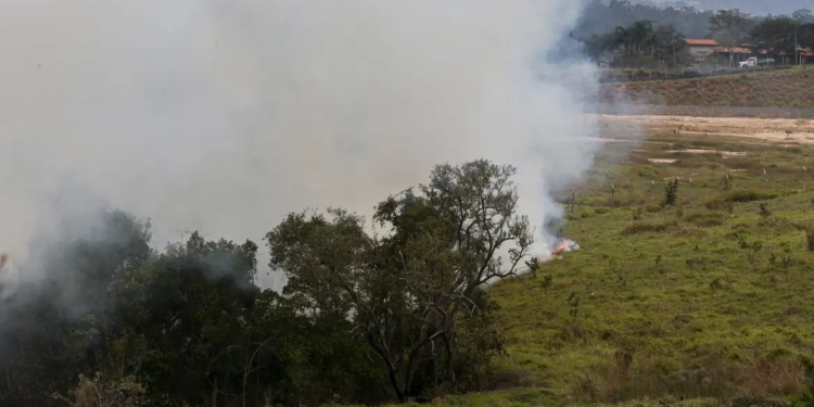 Chuvas reduzem focos de incêndio e fumaça em São Paulo