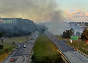 Casos de incêndio à beira de rodovias da região têm aumento de até 251%