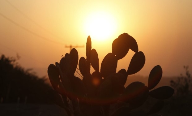 Clima seco: Educação recomenda suspensão das aulas de educação física
