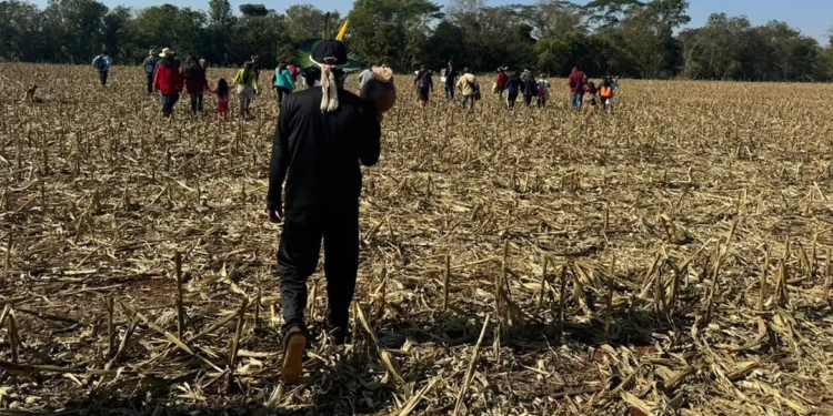 Fazendeiros armados perseguem e ferem indígenas avá-guarani