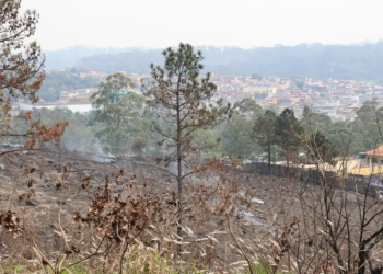 Delegado da PF diz que há indícios de ação coordenada em incêndios