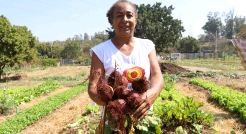 Horta comunitária engaja moradores do Jardim Florence