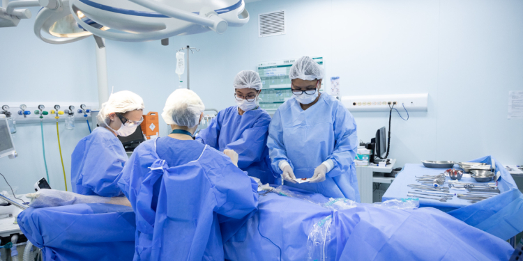 HC SP realiza 1º transplante de útero entre pacientes vivas bem-sucedido da América Latina