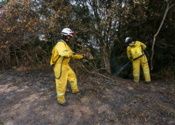 Risco de incêndio prorroga fechamento de unidades de conservação da região
