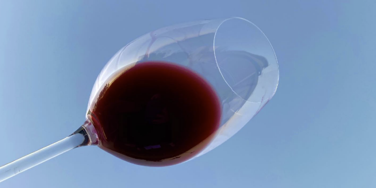 Simpósio internacional em São Paulo coloca em pauta o vinho e sua relação com a saúde