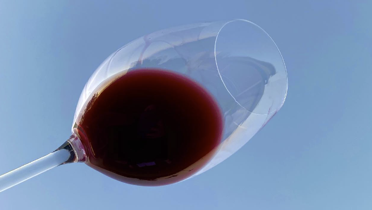 Simpósio internacional em São Paulo coloca em pauta o vinho e sua relação com a saúde