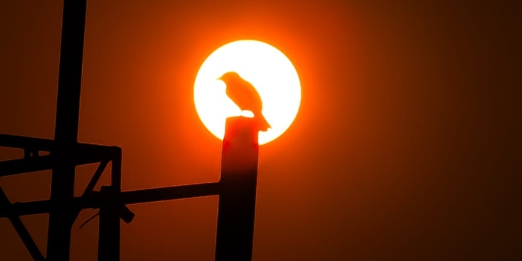 tempo_seco_calor_leandroferreira