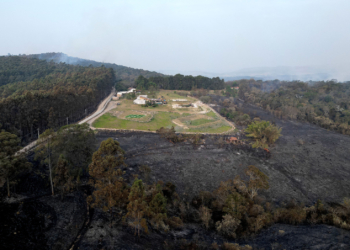 Suspeito de provocar incêndio no Pico das Cabras é detido
