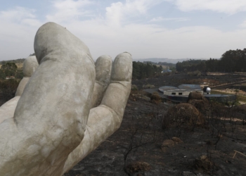 Suspeito detido por atear fogo no Pico das Cabras pode ter incendiado outras áreas