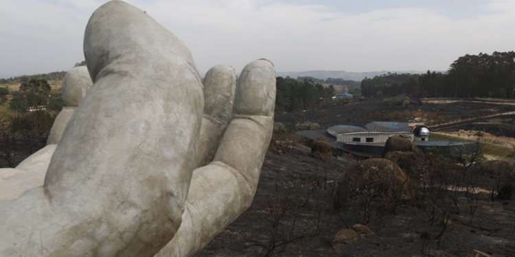 Suspeito detido por atear fogo no Pico das Cabras pode ter incendiado outras áreas