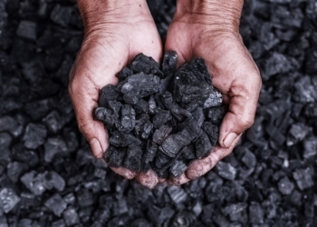 Biochar: a nova oportunidade para pequenos empresários que geram biomassa – por Ivo Neves