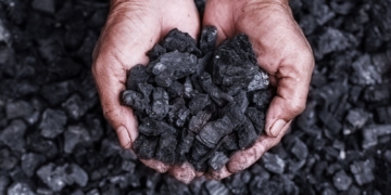 Biochar: a nova oportunidade para pequenos empresários que geram biomassa – por Ivo Neves