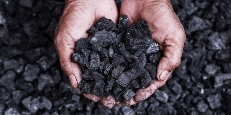 Biochar: a nova oportunidade para pequenos empresários que geram biomassa – por Ivo Neves