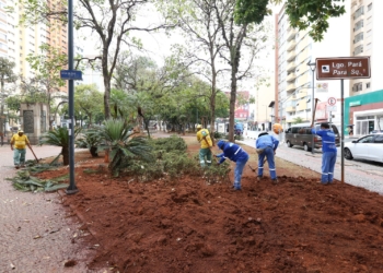Largo do Pará começa a receber renovação no paisagismo e nos equipamentos