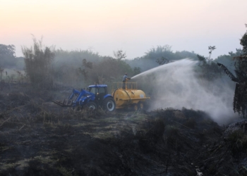 Calor e tempo seco trazem queimadas de volta; fogo mata capivaras em Barão