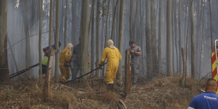 Defesa Civil apoia Bombeiros no combate ao incêndio no Pico das Cabras