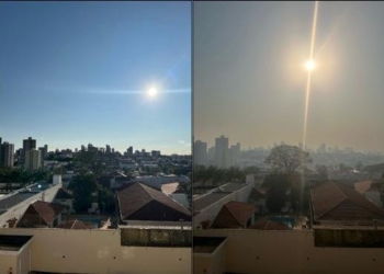 O cheiro forte que exala, esse mesmo! Que com dificuldade a gente inala – por Lívia Campos Silva