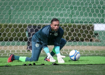 Guarani tem dúvidas em todos os setores para duelo contra o Avaí