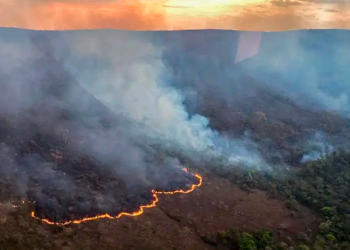 Brasil registrou mais de 5 mil focos de incêndio nas últimas 24 horas