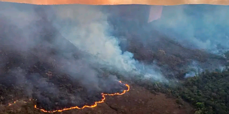 Brasil registrou mais de 5 mil focos de incêndio nas últimas 24 horas