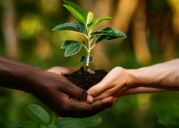 Artigo – Dia da Árvore: o que a Agência das Bacias PCJ tem feito pela preservação deste bem tão precioso – por Sergio Razera