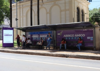 “Abrigo Amigo” recebe mais de 1,1 mil chamadas em um ano
