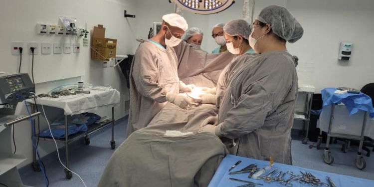 Mário Gattinho passa a realizar procedimentos cirúrgicos