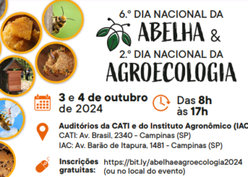Cati celebra Dia Nacional das Abelhas e da Agroecologia e destaca desenvolvimento sustentável