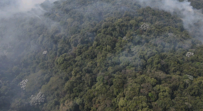 Parque da Cantareira é fechado por causa de incêndio; equipes combatem chamas