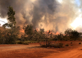 Região de Campinas tem alerta elevado para risco de incêndios