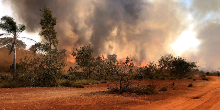 Região de Campinas tem alerta elevado para risco de incêndios