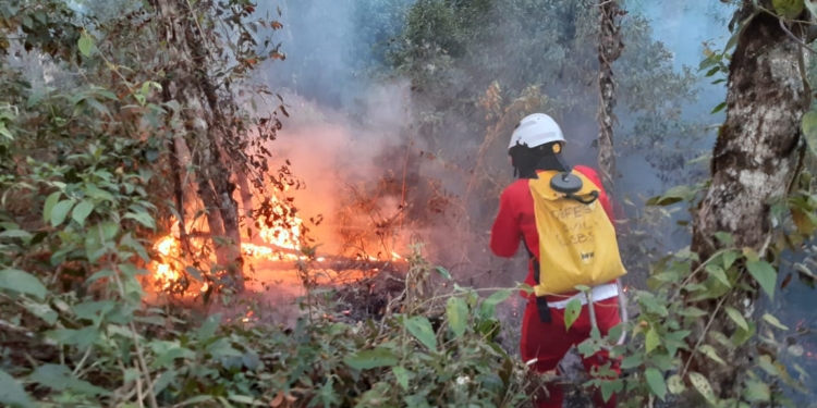 Região de Campinas tem alerta máximo para risco de incêndios
