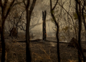 Bolívia ultrapassa o Brasil em focos de incêndio, aponta Inpe