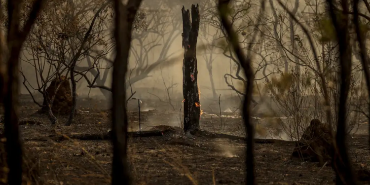 Bolívia ultrapassa o Brasil em focos de incêndio, aponta Inpe
