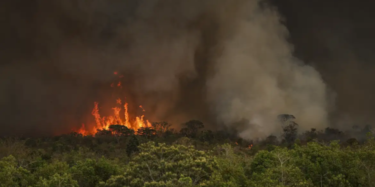 Incêndios podem ter afetado mais de 11 milhões de pessoas no Brasil