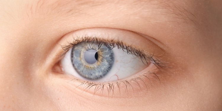 Retinoblastoma: diagnóstico precoce eleva para 90% taxa de cura em câncer nos olhos de bebês