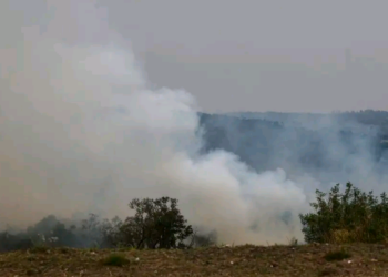 Cinco cidades do estado de São Paulo têm focos de incêndio ativos