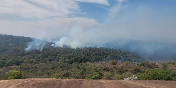 Pico das Cabras ainda registra focos de incêndio na manhã desta quarta; veja imagens
