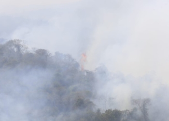 Pico das Cabras segue com pelo menos seis focos de incêndio ativos