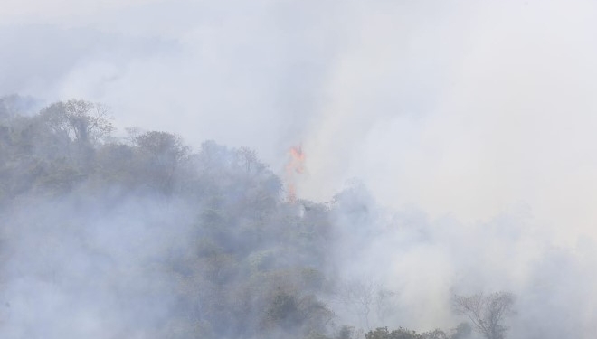 Pico das Cabras segue com pelo menos seis focos de incêndio ativos