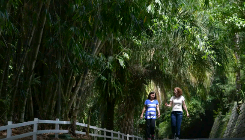Após incêndios, São Paulo reabre nesta segunda-feira 69 parques estaduais