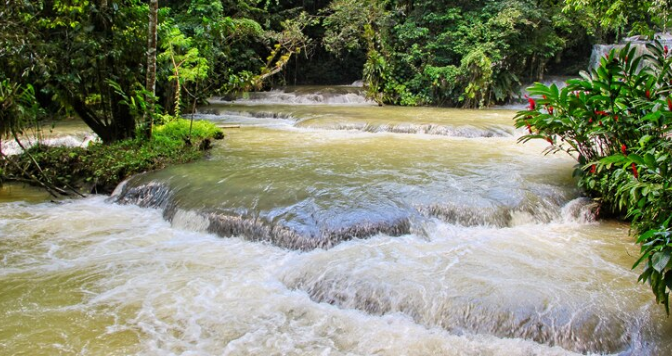 Habilidades de resiliência e adaptação  – por Thiago Pontes