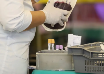 STF reconhece direito de testemunhas de Jeová em recusar transfusão de sangue